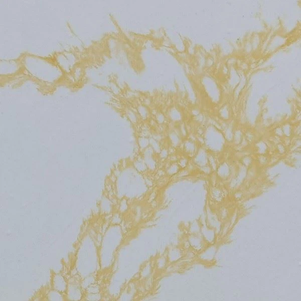 Calacatta Gold Vein Quartz